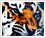 Tigers_thumbs_medium