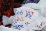 Auburn fans leave rolls of toilet paper with written expressions to pay respects to the historic Live Oak trees that have been poisoned on Saturday, Feb. 19, 2011, in Auburn, Ala. (AP Photo/Butch Dill)